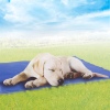 Pet Cooler Mat 40x50cm [044033]