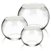 Clear Glass Bowl