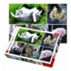 1500 - Just cat things - collage [261455]