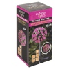 Rose Solar Light 12x71cm [563336]