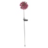 Rose Solar Light 12x71cm [563336]