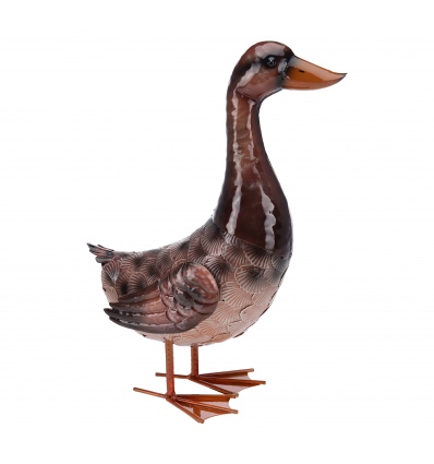 Brown Duck [118506]
