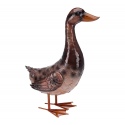 Brown Duck [118506]