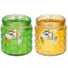 Assorted Colour Citronella Candle in Glass Holder [535180]