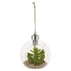 Set of 4 Assorted Hanging Led Plants [477689]