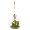 Set of 4 Assorted Hanging Led Plants [477689]