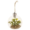 Set of 4 Assorted Hanging Led Plants [477689]