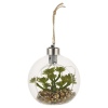 Set of 4 Assorted Hanging Led Plants [477689]