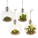 Set of 4 Assorted Hanging Led Plants [477689]