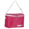 Summer Cooler Bags