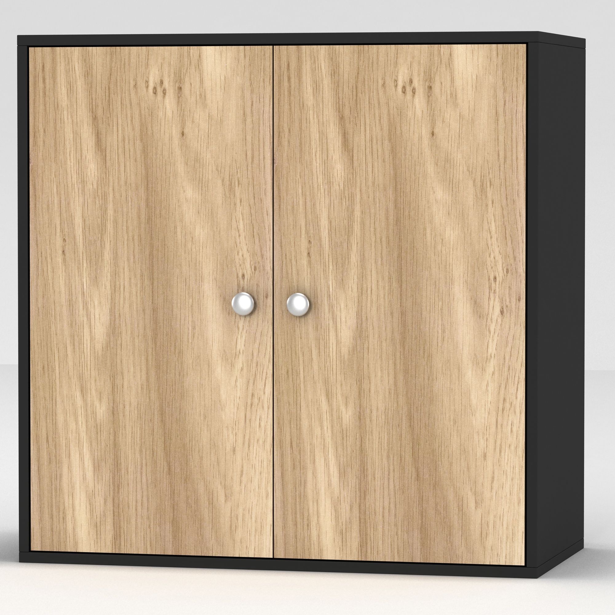 Armario de almacenamiento de 2 niveles de madera lado Muebles Armario