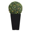 Solar Powered Topiary Ball