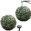 Solar Powered Topiary Ball