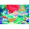 "54 Mini" - The Princesses / Disney Princess Puzzle [54105]