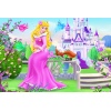 "54 Mini" - The Princesses / Disney Princess Puzzle [54105]