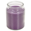 Lilly Lane 18oz Candle in Jar