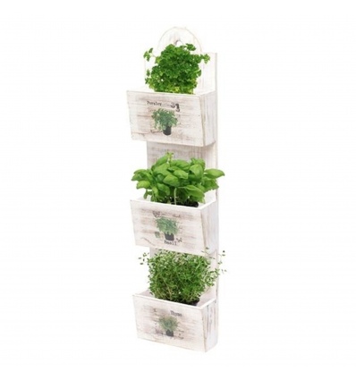 Seed Planter 33x12x31cm Basil/Parsley/Thyme [065595]