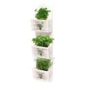 Square Seed Planter 33x12x31cm Basil/Parsley/Thyme [065595]