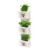 Seed Planter 33x12x31cm Basil/Parsley/Thyme [065595]