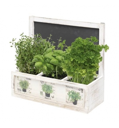 Seed Planter Box 15.5x7x63cm [065601]