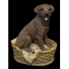 Brown Labrador Barking Dog With Sensor [376370]