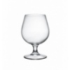 Bormioli Rocco Beer Club Snifter Stemmed 530ml Glass [086867]