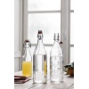 Bormioli Rocco Swing Clip lid Storage Bottle