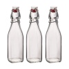 Bormioli Rocco Swing Clip lid Storage Bottle