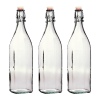 Bormioli Rocco Swing Clip lid Storage Bottle