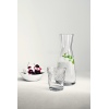 Bormioli Rocco Ypsilon 250ml Glass Jug [082821]