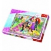 Puzzles "260" - Princesses meeting / Disney Princess [13242]