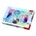 Puzzles "100" - The land of friendship / Disney Frozen [16340]