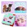 Puzzles - "3in1" - Sweet kittens / Getty Images [34809]