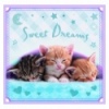 Puzzles - "3in1" - Sweet kittens / Getty Images [34809]