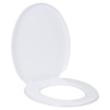 Toilet Seat