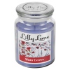 Lilly Lane 18oz Candle in Jar Winter Ediition