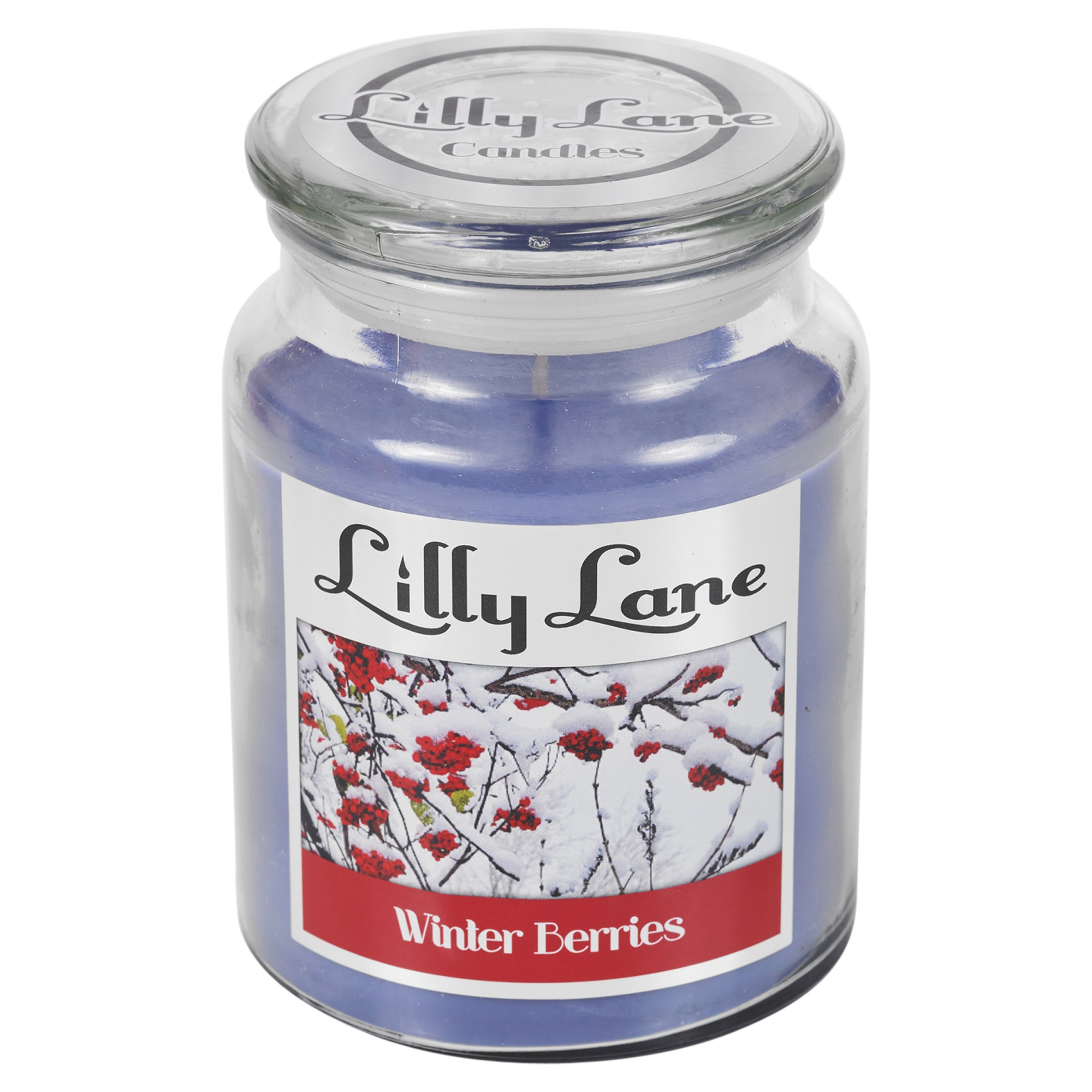 Lilly Lane 18oz Large Scented Candle Glass Jar Fragrance Aromatic Home