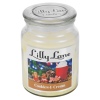 Lilly Lane 18oz Candle in Jar Winter Ediition