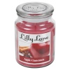 Lilly Lane 18oz Candle in Jar Winter Ediition