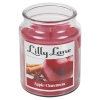 Lilly Lane 18oz Candle in Jar Winter Ediition