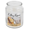 Lilly Lane 18oz Candle in Jar Winter Ediition