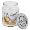 Lilly Lane 18oz Candle in Jar Winter Ediition