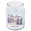 Lilly Lane 18oz Candle in Jar Winter Ediition
