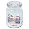 Lilly Lane 18oz Candle in Jar Winter Ediition