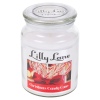 Lilly Lane 18oz Candle in Jar Winter Ediition