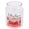 Lilly Lane 18oz Candle in Jar Winter Ediition