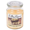 Lilly Lane 18oz Candle in Jar Winter Ediition