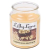 Lilly Lane 18oz Candle in Jar Winter Ediition