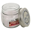 Lilly Lane 4oz Candle in Jar Winter Edition