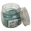 Lilly Lane 4oz Candle in Jar Winter Edition